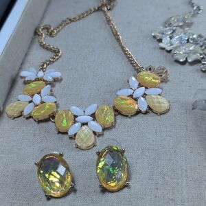 New Jewelry Set Floral chunky statement Necklace Earrings